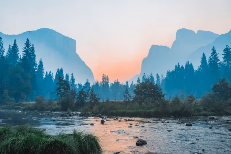 Complete Guide to Finding Asset Management Companies